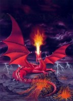 /album/photo-gallery/dragon-8-jpg2/
